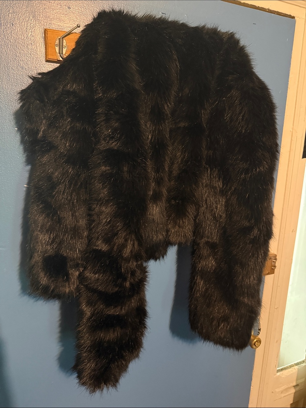 Fashion Nova Black Faux Fur Teddy Coat